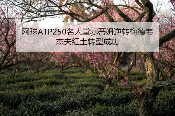 网球ATP250名人堂赛蒂姆逆转梅德韦杰夫红土转型成功